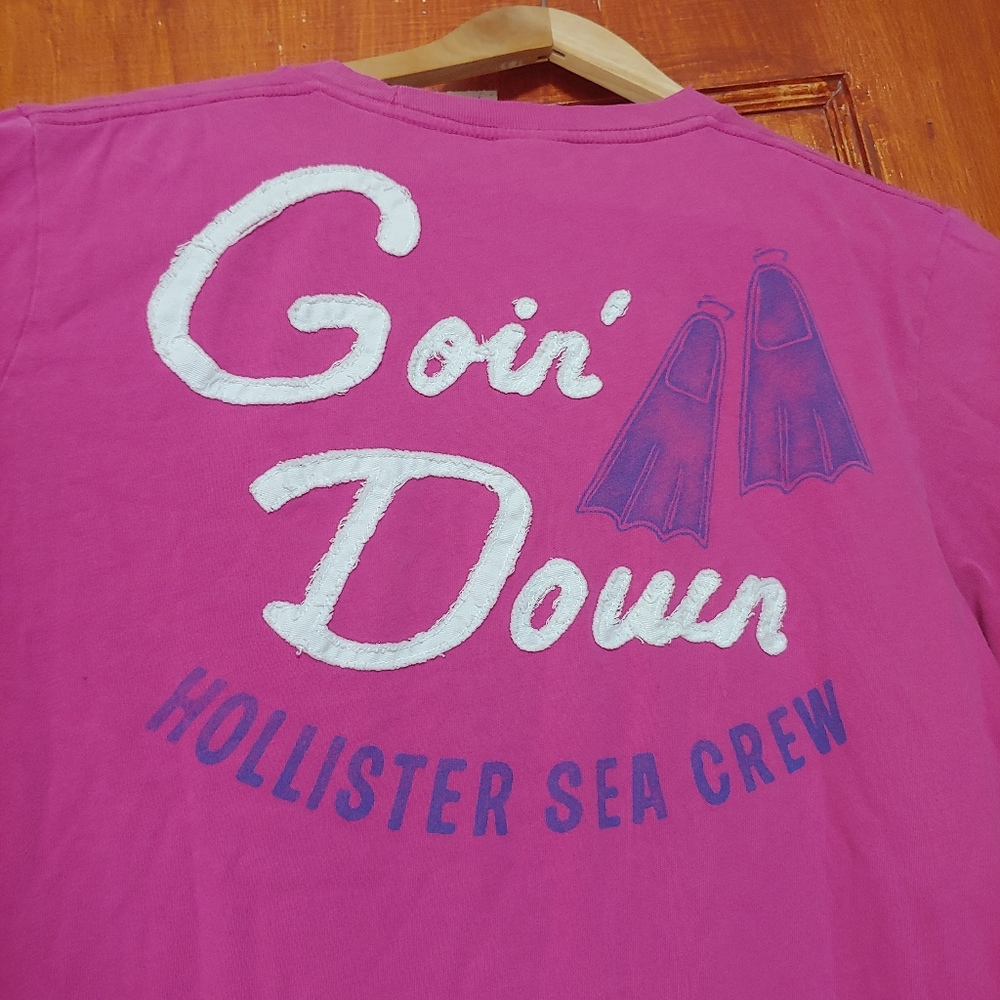 Hollister Embroidered Graphic Tshirt